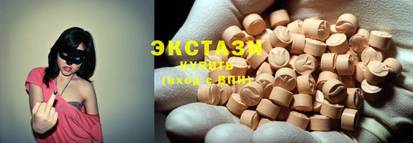 гашик Алексин
