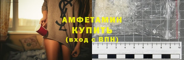 гашик Алексин