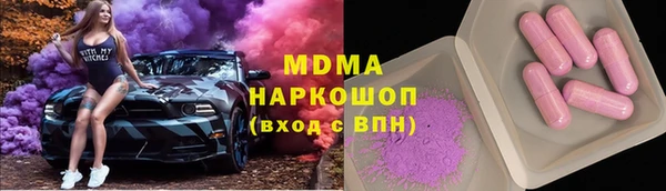 гашик Алексин