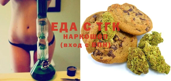 гашик Алексин