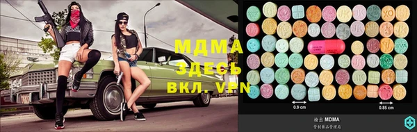 гашик Алексин