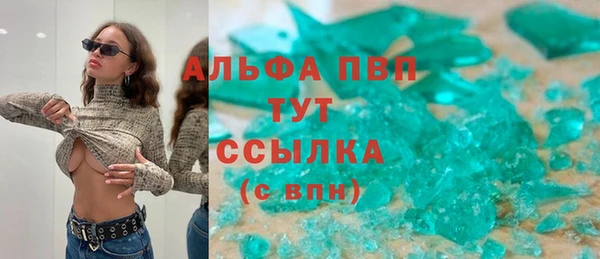 гидра Алексеевка
